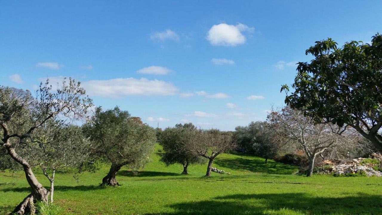 Trulli L'Utopia Di Anny Trulli Anny'S Utopia لوكوروتوندو المظهر الخارجي الصورة